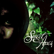 The Sweet Apes - List pictures