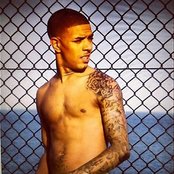 Fazer - List pictures