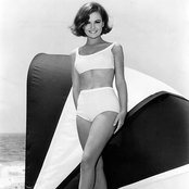 Shelley Fabres - List pictures