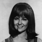 Shelley Fabres - List pictures