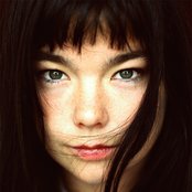 Björk - List pictures