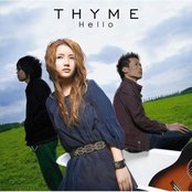 Thyme - List pictures