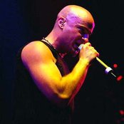 David Draiman - List pictures