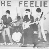 The Feelies - List pictures