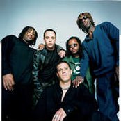 Dave Matthews Band - List pictures