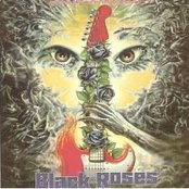 The Black Roses - List pictures