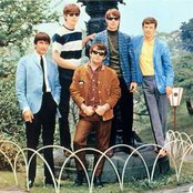 The Animals - List pictures