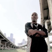 Willie D - List pictures