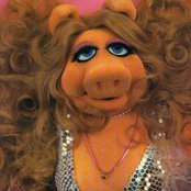 Miss Piggy - List pictures