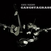 Gangstagrass - List pictures