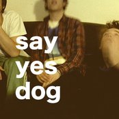 Say Yes Dog - List pictures