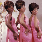 The Velvelettes - List pictures