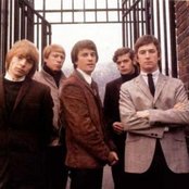 Yardbirds - List pictures