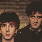 Soft Cell - List pictures