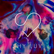 Shy Luv - List pictures