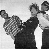 Information Society - List pictures