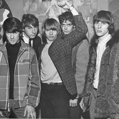 Yardbirds - List pictures