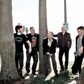 Beecake - List pictures