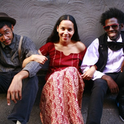 Carolina Chocolate Drops - List pictures