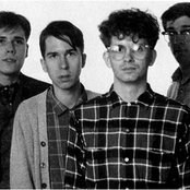 The Feelies - List pictures