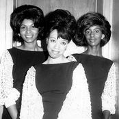 The Velvelettes - List pictures