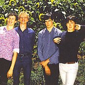 Sunnyboys - List pictures