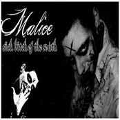 Malice - List pictures