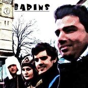 Barins - List pictures