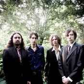 The Sadies - List pictures