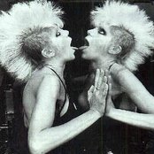 Wendy O. Williams - List pictures