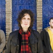 Fratellis - List pictures