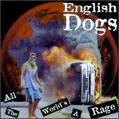 English Dogs - List pictures