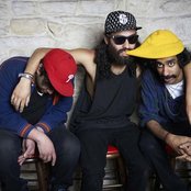 Das Racist - List pictures