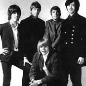 Yardbirds - List pictures