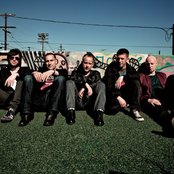 Beecake - List pictures