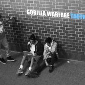 Gorilla Warfare Tactics - List pictures