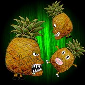 The Pineapples - List pictures