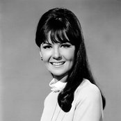 Shelley Fabres - List pictures