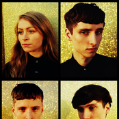 These New Puritans - List pictures