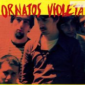 Ornatos Violeta - List pictures