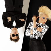 Sneaky Sound System - List pictures