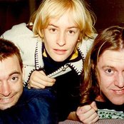 Spiderbait - List pictures