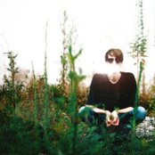 Atlas Sound - List pictures