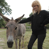 Lucy Rose - List pictures