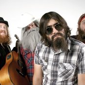 The Beards - List pictures