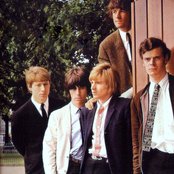 Yardbirds - List pictures