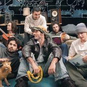 Cat Empire - List pictures