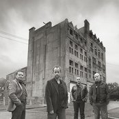 Beecake - List pictures