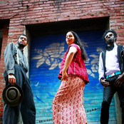 Carolina Chocolate Drops - List pictures