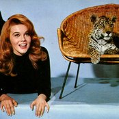 Ann-margret - List pictures